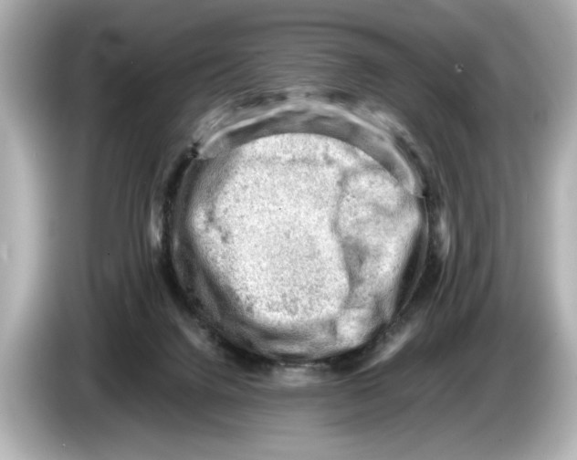 X0000085750072200704091324