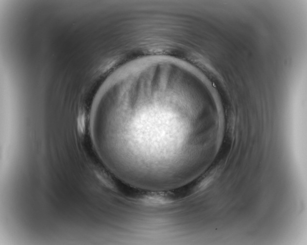 X0000085750076200704091324