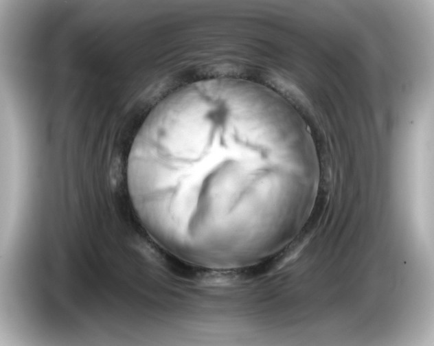 X0000085750077200704091324