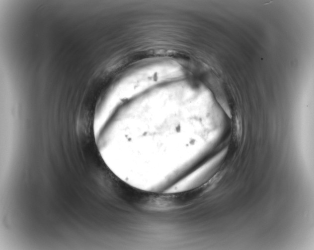 X0000085750078200704091324