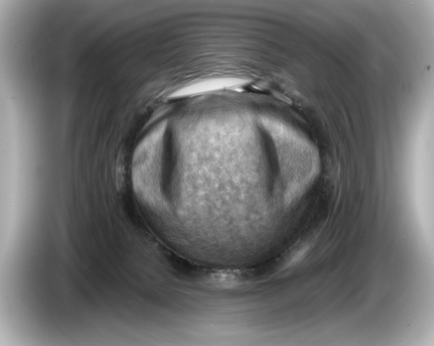 X0000085750080200704091324