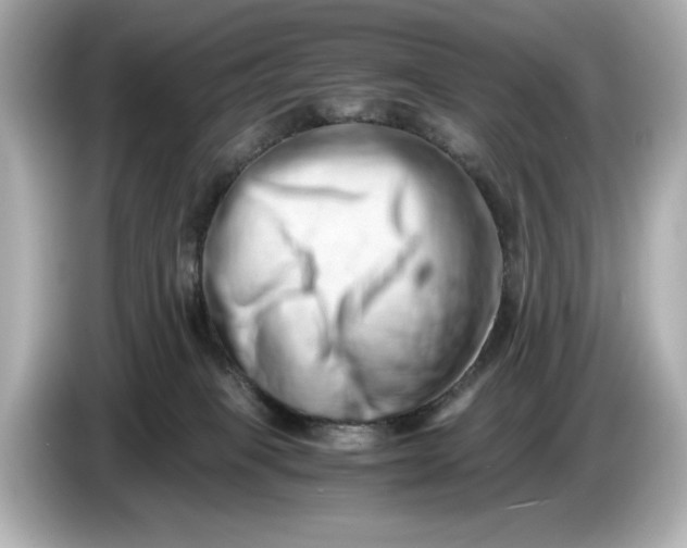 X0000085750085200704091324