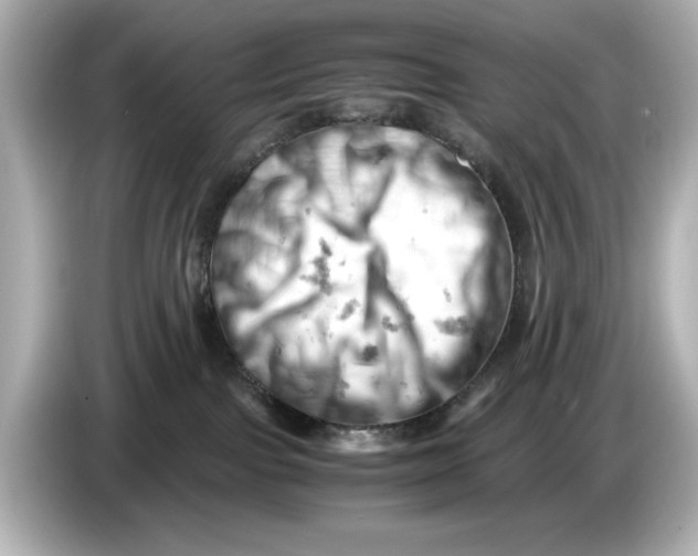 X0000085750091200704091324