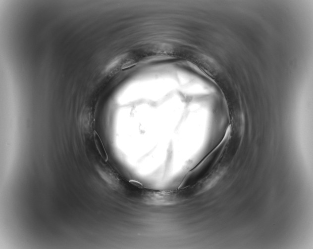 X0000085750092200704091324