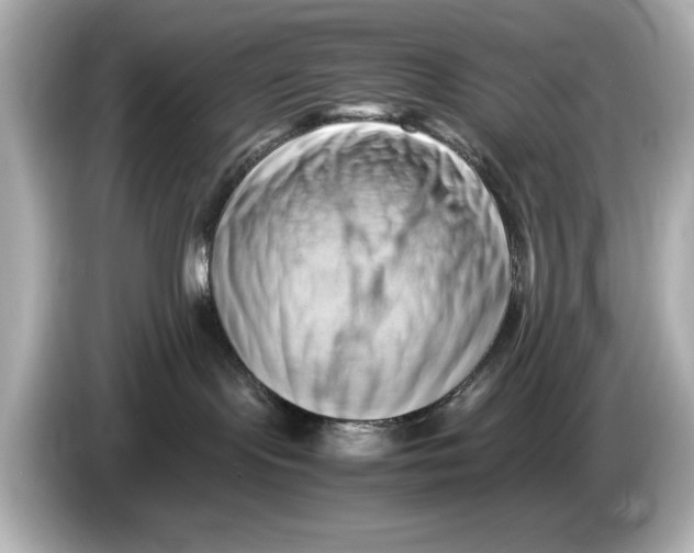 X0000085750095200704091324