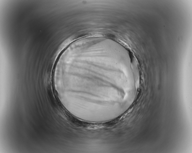 X0000085750099200704091323