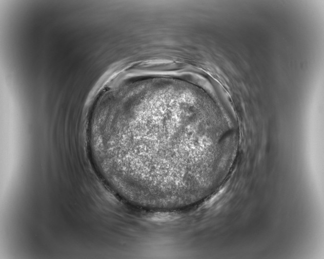 X0000085750101200704091323