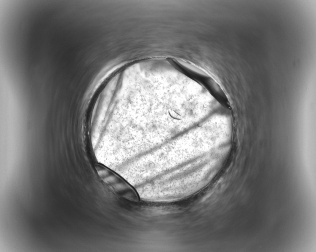 X0000085750103200704091323