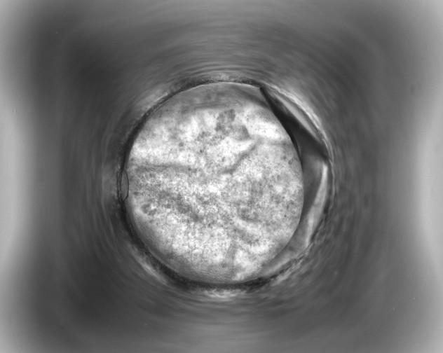 X0000085750105200704091323