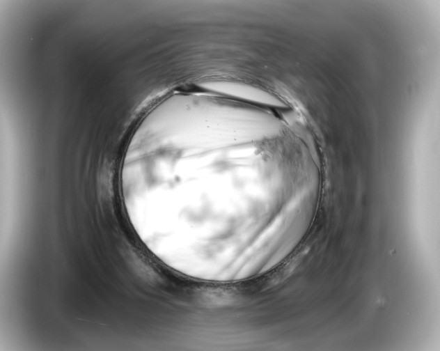 X0000085750106200704091323