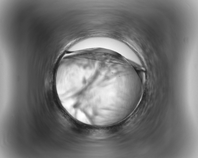 X0000085750107200704091323