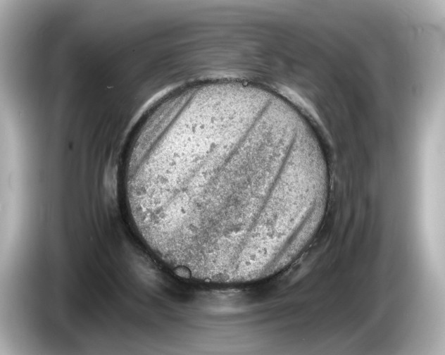 X0000085750108200704091323