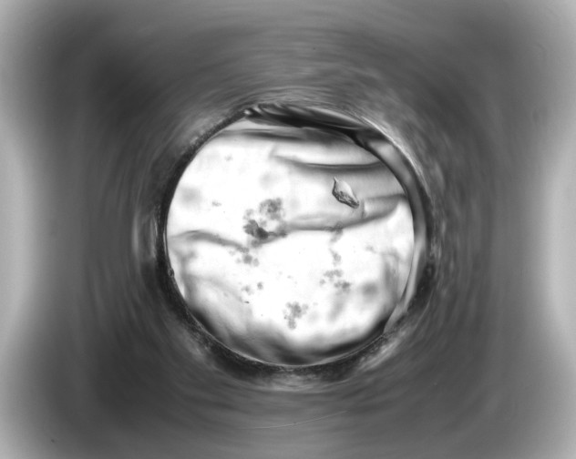 X0000085750109200704091323