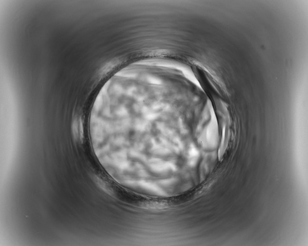 X0000085750110200704091323