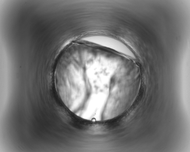 X0000085750111200704091323