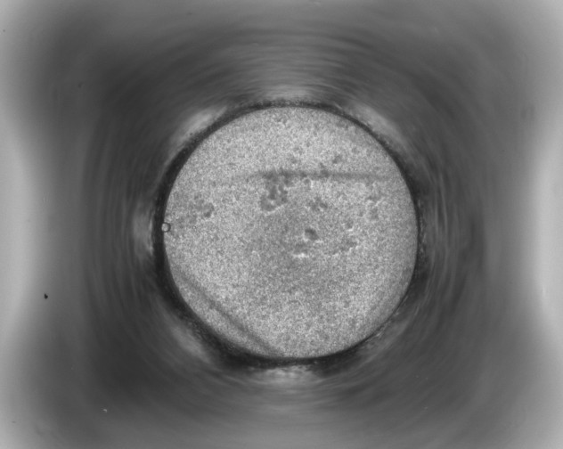 X0000085750112200704091323