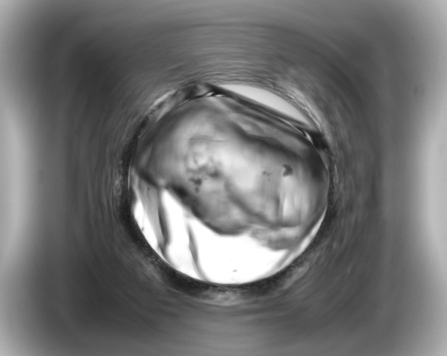 X0000085750113200704091323