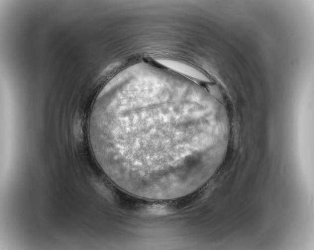 X0000085750114200704091323