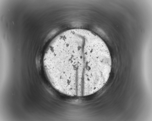 X0000085750116200704091323