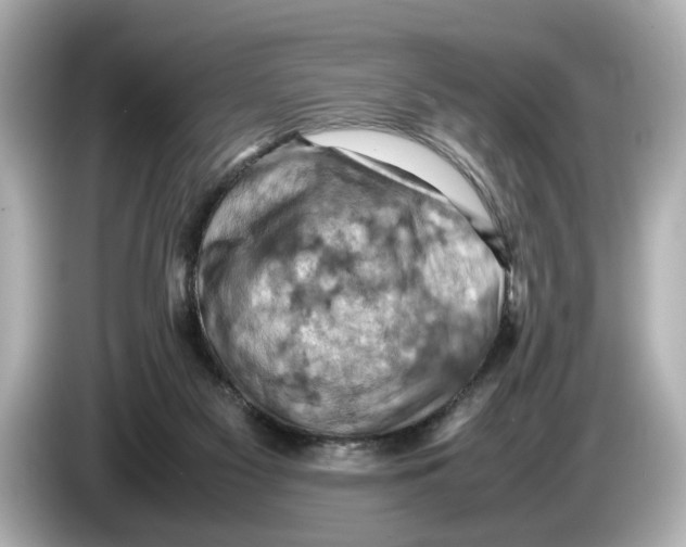 X0000085750117200704091323