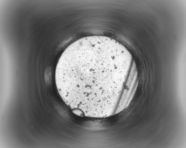 X0000085750120200704091323