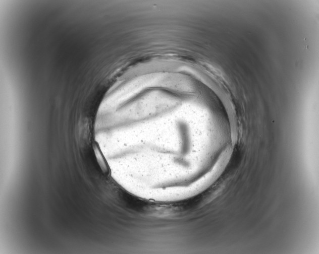 X0000085750121200704091323