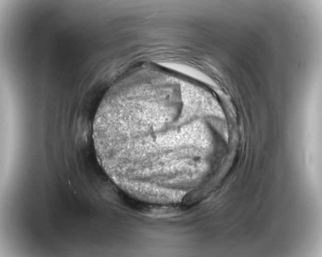 X0000085750125200704091323