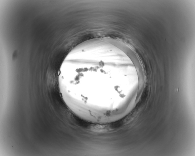 X0000085750129200704091323