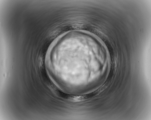 X0000085750130200704091323