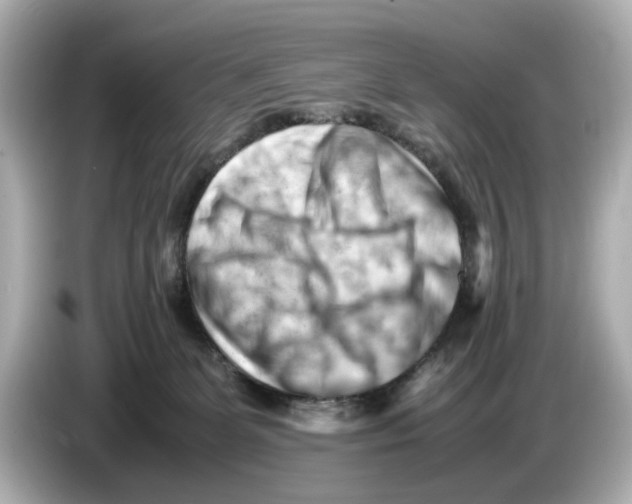 X0000085750131200704091323