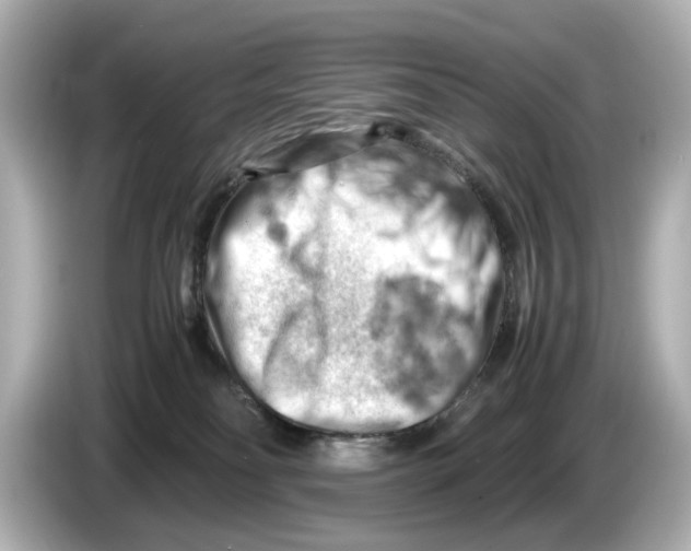 X0000085750134200704091323