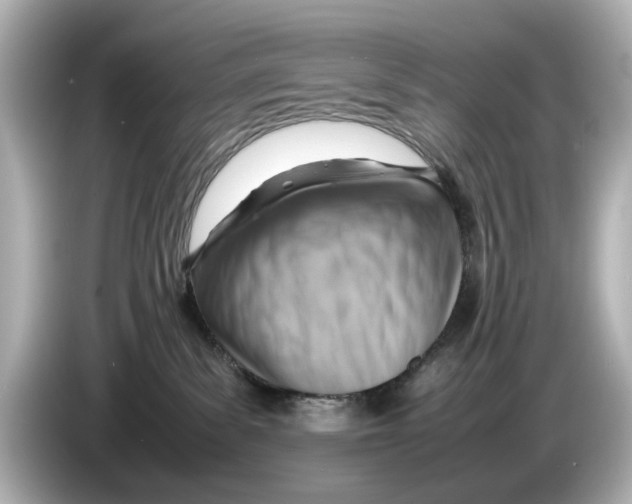 X0000085750139200704091323