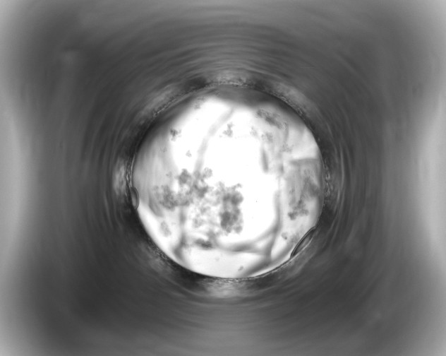 X0000085750142200704091323