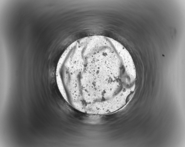 X0000085750144200704091323