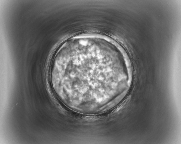 X0000085750145200704091322