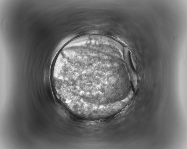 X0000085750147200704091322