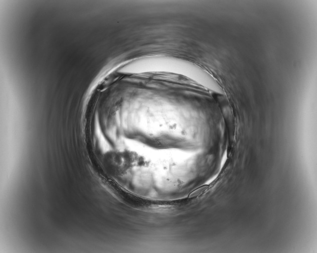 X0000085750150200704091322