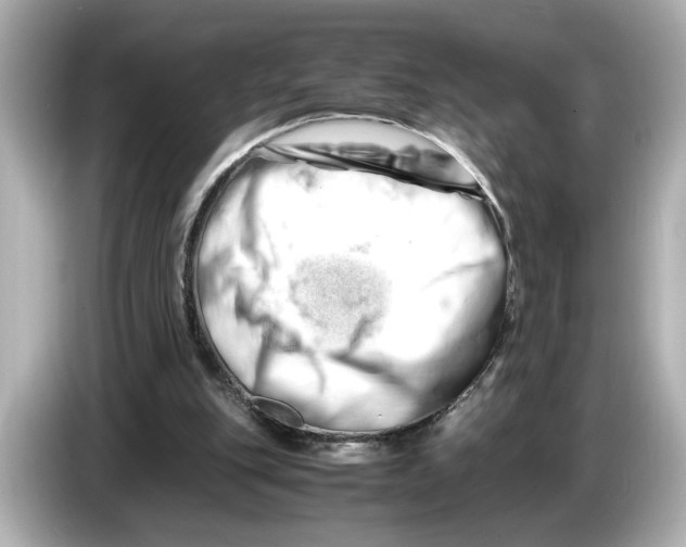 X0000085750151200704091322