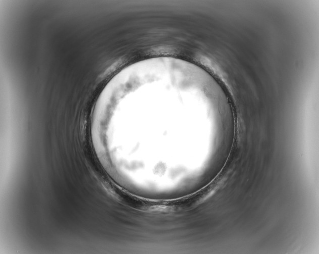 X0000085750153200704091322