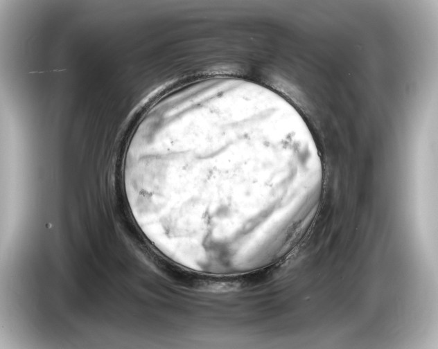 X0000085750155200704091322