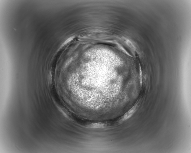 X0000085750158200704091322