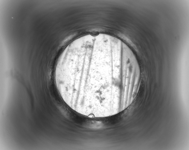 X0000085750159200704091322