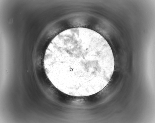 X0000085750162200704091322