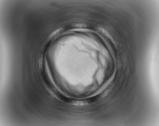 X0000085750163200704091322