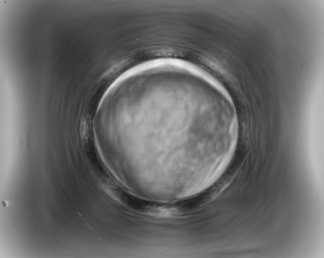 X0000085750165200704091322