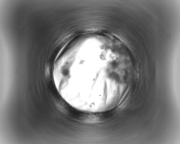 X0000085750166200704091322