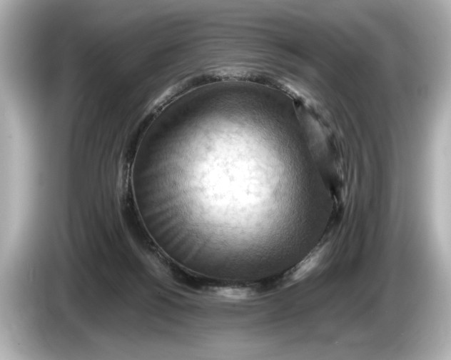 X0000085750168200704091322