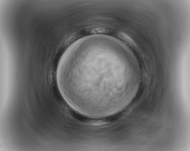 X0000085750169200704091322