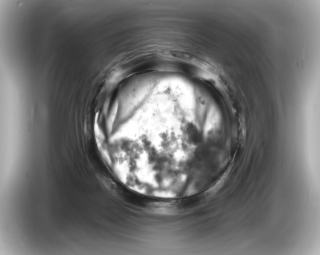 X0000085750170200704091322