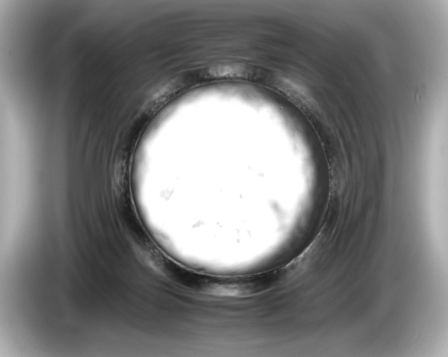 X0000085750171200704091322